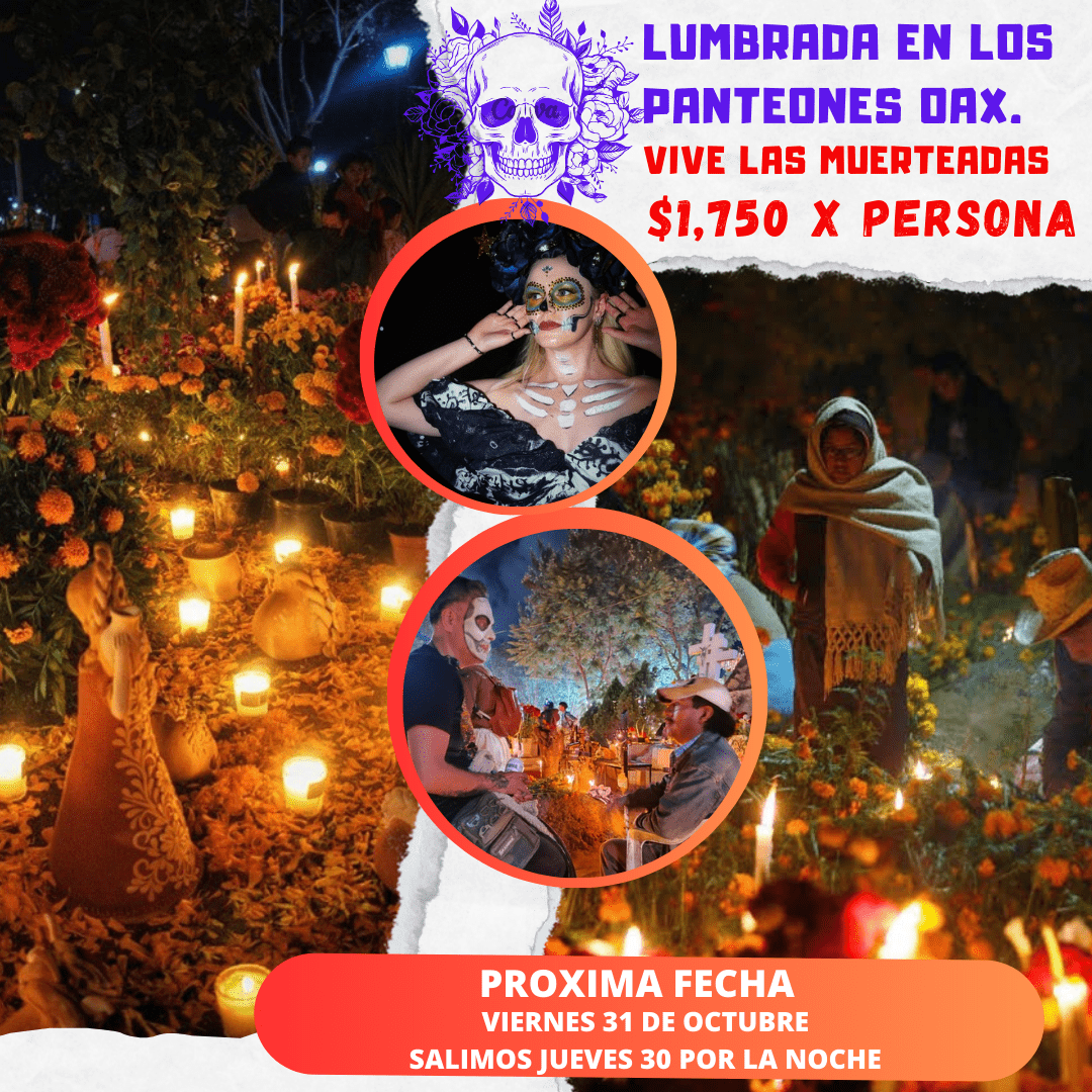 Copia de Copia de Copia de Instagram post promoción viaje cultural moderno _20250903_012544_0000-min